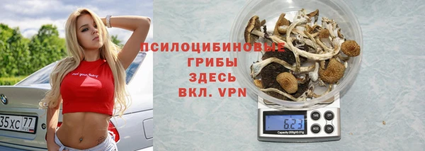 прущие крисы Михайлов