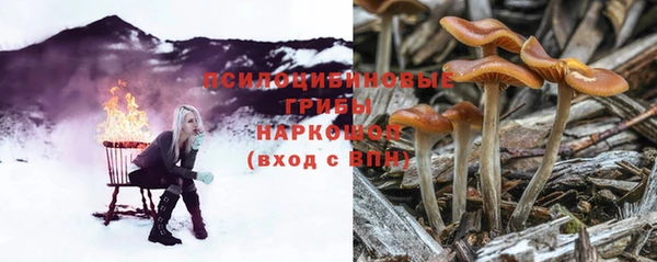 прущие крисы Михайлов