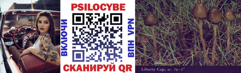 Галлюциногенные грибы Psilocybine cubensis  Купить закладки  Саров 